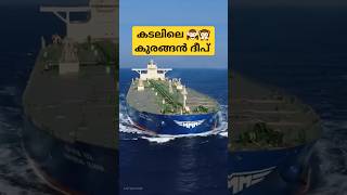 ഇതാണ് കപ്പലിലെ മങ്കി ഐലൻഡ് #ship #monkeyisland #internet #tech #shorts #sea #education #facts #reel