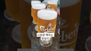 시원한 막주는 못참지 #맥주 #시원한맥주