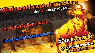 ดูวัวชนย้อนหลัง คู่ที่ 2 สนามกีฬาชนโคบ้านคลองเเงะ วันที่ 4 ก.พ.66