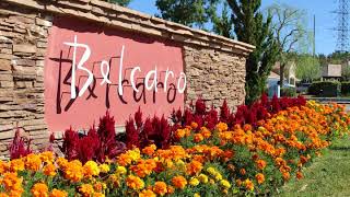 Santa Clarita's Valencia Neighborhood of Belcaro