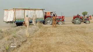 Harvester \u0026 Tractor 375 Masse Tochan Mukabla Village Video