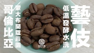 【咖啡市集】 哥倫比亞 薇拉產區 蒙大布蘭蔻莊園 低溫發酵水洗 藝伎咖啡豆