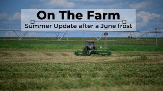 On the Farm - Summer Update \u0026 June Frost