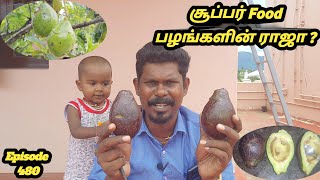 சூப்பர் Food பழங்களின் ராஜா இவர்தான் #இந்த பழத்தை சாபபிட்ட இந்த 12 நோய்கள் வராதா ?