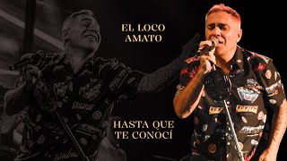 El Loco Amato - Hasta que te conocí