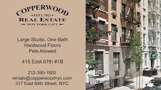 415 East 87 Apt 1B