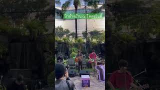 ป้าข้างบ้าน ณ โคตรอินดี้ #420 #cover #music #เปิดค่าการมองเห็น #reggae