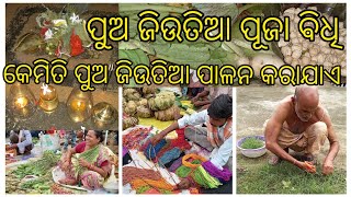 vlog -8କେମିତି ପାଳନ ହୁଏ ପୁଅ ଜିଉତିଆ #Maitreyeesanjaypadhi# #sambalpurivlog #Sonepur #puajiutiaa #odiaa