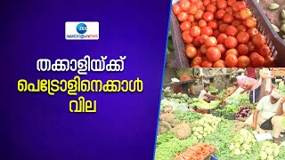 Tomato Price | ഒരു കിലോ തക്കാളിയ്ക്ക് ഒരു ലിറ്റർ പെട്രോളിനെക്കാൾ വില.വിപണിയിൽ കിലോയ്ക്ക് 150 രൂപയോളം