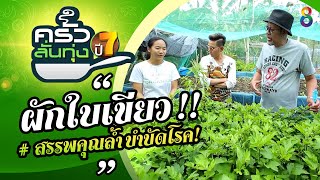 'ผักใบเขียว' สรรพคุณล้ำบำบัดโรค | ครัวลั่นทุ่ง | ช่อง8