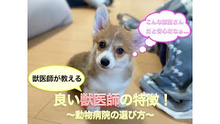 良い獣医さんってどんな人？動物病院の選び方！【獣医師】【動物病院】