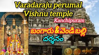 Varadaraju Perumal Vishnu Temple|బంగారు \u0026 వెండి బల్లి దర్శనం|Kanchipuram|#youtube#facts#video#kanchi