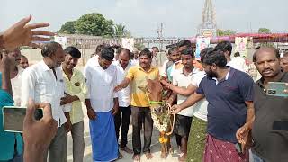 శ్రీ అవధూత కొండయ్య స్వామి జాక్పాట్ మొదటి బహుమతి సాధించిన వారికి ఆవు దూడను బహుకరించినారు