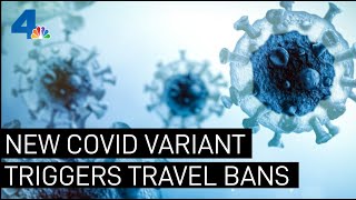 New 'Omicron' COVID-19 Variant Prompts Travel Ban for Several Countries | NBCLA