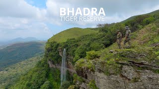 Glimpse of Bhadra Tiger Reserve | A Journey into the Wild