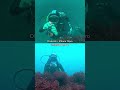 comparison divevolk iphone housing vs insta360 ace pro underwater action camera which one is best