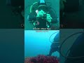 comparison divevolk iphone housing vs insta360 ace pro underwater action camera which one is best