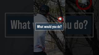 Declaring A Ball Lost In Golf
