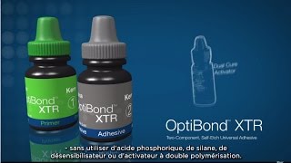 Adhésif dentaire universel - OptiBond XTR (FR)