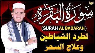 سورة البقرة كاملة رقية للبيت وعلاج للسحر تلاوة هادئة تريح القلب Surah Al-Baqarah Complete Recitation