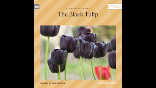 The Black Tulip – Alexandre Dumas (Full Classic Novel Audiobook)