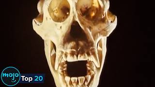 Top 20 Most Controversial Discoveries In History