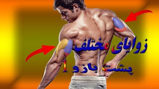 Triceps سه سر بازو پشت بازو