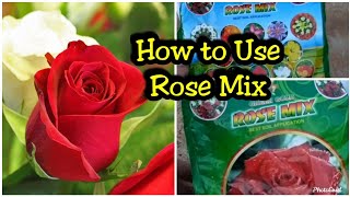 రోజ్ మిక్స్ ఇల వాడాలిHow to get More Flowers in Rose plant|| How to use Rose king/Rose mix/rose food