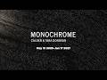 Monochrome: Calder and Tara Donovan | Seattle Art Museum | May 13 2026–Jan 17 2027