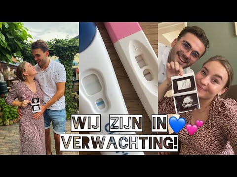 Ik Ben ZWANGER! ️ Het Hele Eerste Trimester🍀 - YouTube