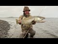 fliegenfischen auf grosse bachforellen und bunte saiblinge im island.