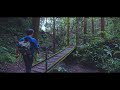 夏、静かな森で珈琲を lemmel coffee in the forest bmpcc4k m.zuiko digital ed 12 100mm f4.0 is pro