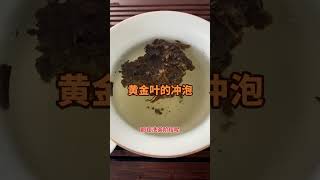 黃金葉基本都是緊壓 洗茶階段多待會,喝茶有講究，喝茶步驟，wechat：zcj049#召喚茶友 #喝茶 #普洱茶