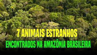 Conheça 7 Animais estranhos encontrados na Amazônia brasileira