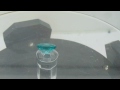 1.81 ct neon apatite