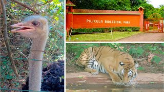 Pilikula Zoo | Pilikula Biological Park | Pilikula Nisargadhama | Part 1 | Mangalore Tourism