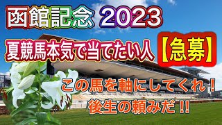 【競馬】【函館記念 2023】自信アリ◎‼この動画をちょっとでも見てください！夏競馬簡単に攻略できます！！