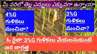 మీ వరిలో 3%G గుళికలు చల్లలా అనుకుంటున్నారా  జర జాగ్రత్త లేకపోతే ప్రాణానికే ప్రమాదం