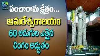 History Of Amaravathi Amaralingeswaraswamy Temple | Interesting Facts About Amareswaralayam