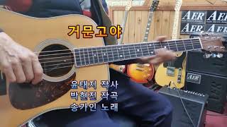 🎸#거문고야 (송가인)Am스케일 (통기타연주곡) 🎵(고고)GoGo (울산굿모닝기타드럼학원장)(최명철)