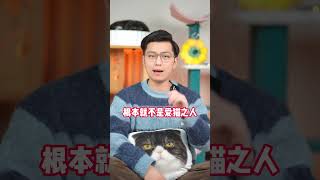 关于送猫咪去猫咖打工，你知道会发生什么吗？#猫咪 #科学养宠攻略 #宠物知识  一只憨憨小虎