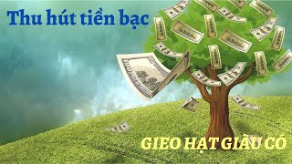 KHẲNG ĐỊNH TÍCH CỰC THU HÚT TIỀN BẠC | QUY TRÌNH MỖI NGÀY  |  LƯU THANH THÙY