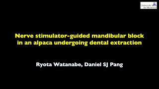 The CVJ December 2023: Video 1 - Nerve stimulator-guided mandibular block in an alpaca