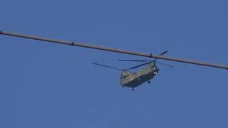 陸上自衛隊第1ヘリコプター団第104飛行隊CH-47Jチヌーク（木更津）