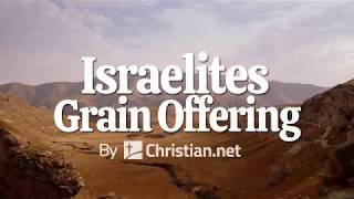 Leviticus 2: Israelites Grain Offering | Bible Stories