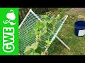 DIY Erv's Easy Garden Trellis - Updated 2020