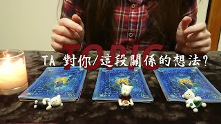 塔羅占卜: TA對你/這段關係的想法?（無時間限制）