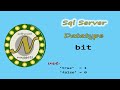 SQL Server: (L11) How to use the BIT data type.   aka (Boolean True or False)
