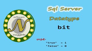 SQL Server: (L11) How to use the BIT data type. aka (Boolean True or False)