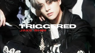 Triggered - Chase Atlantic [JAKE FMV]